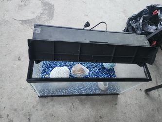 20 Gal Aquarium