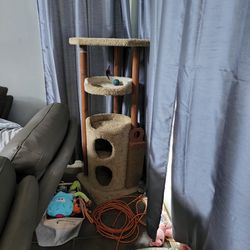Tall Cat Tower 