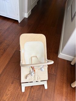 Baby Delight Organic Bouncer