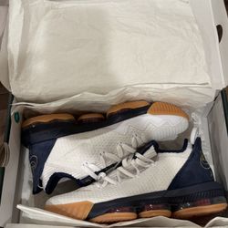 LeBron XVI low White Metallic Gold 10.5 New Vintage 