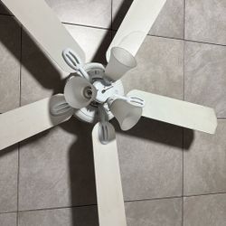 Ceiling fan 1 for $50 or 2 for $75