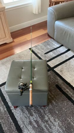 6 ft. Solid fiberglass rod,and Shimano FX200 reel