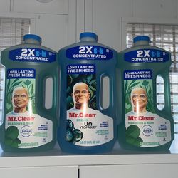Mr Clean - $7 each