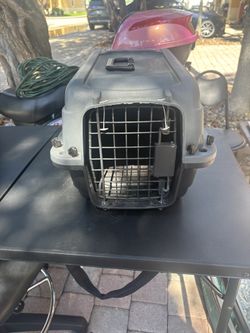 Plastic Dog Carrier