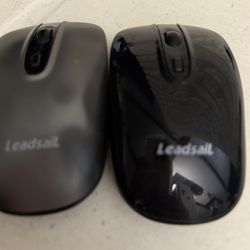2 LeadsaiL wireless mouse black and silver Aaa batteries required