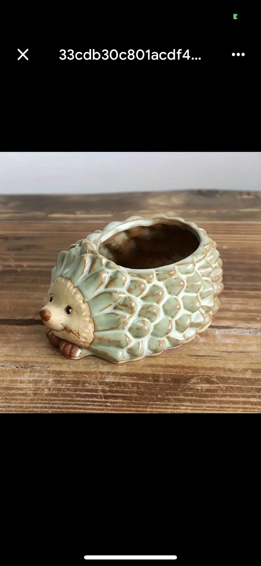 Ceramic Hedgehog Planter Pot