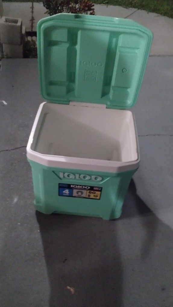 Igloo