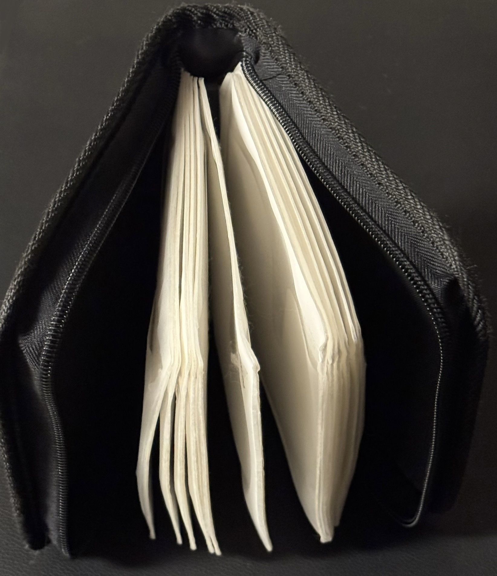 💿 Case Logic CD / DVD Case Wallet, Protective Sleeves 32 Discs, Zipper (new)