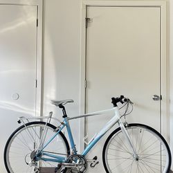 Giant Dash Hybrid Bike 