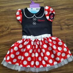 Minnie Costume 