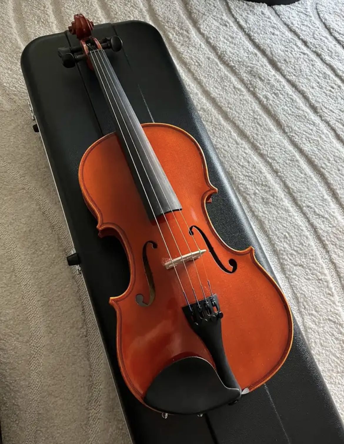 Samuel Eastman Violin 4/4 VL80