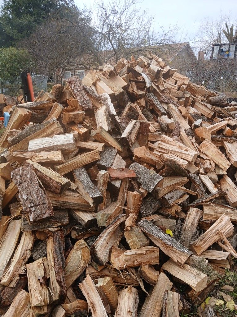 Seasoned Fir and Juniper