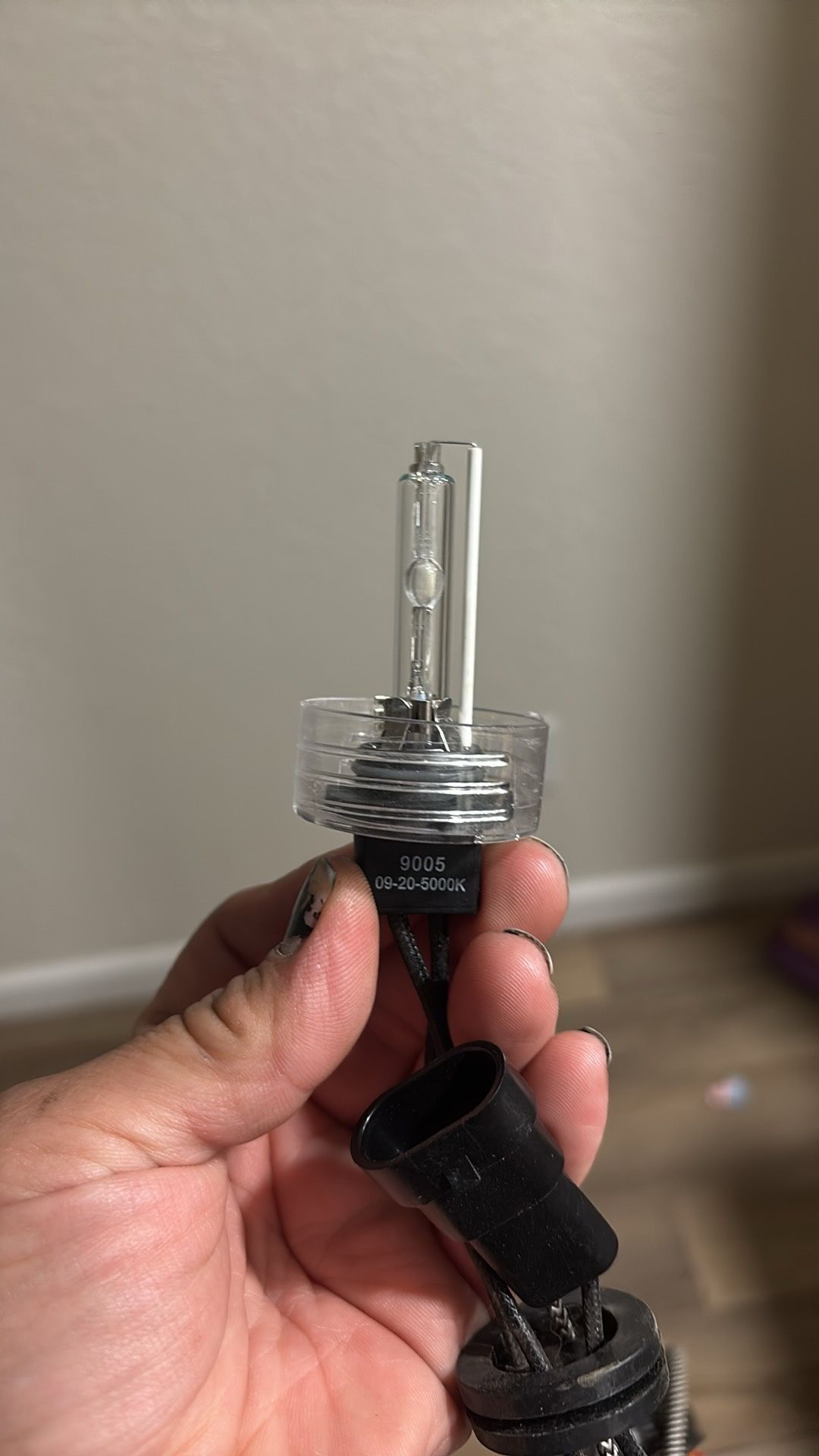 H11 9005 Headlight Bulbs