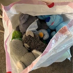 Random Bag Of Stuffed Animals 