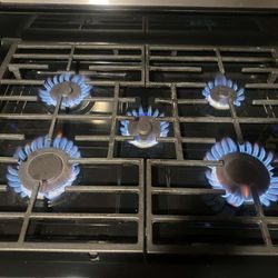 Gas Stove 
