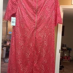 Ladies Dress