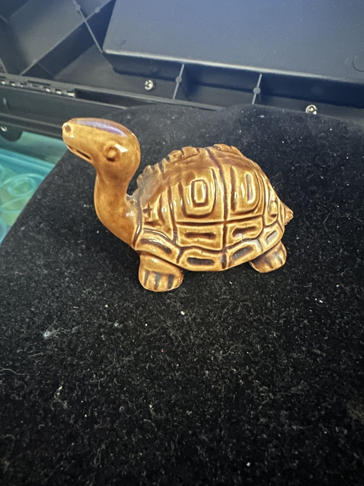 Collectible Tiny Turtle