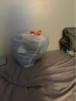 Free women’s clothes