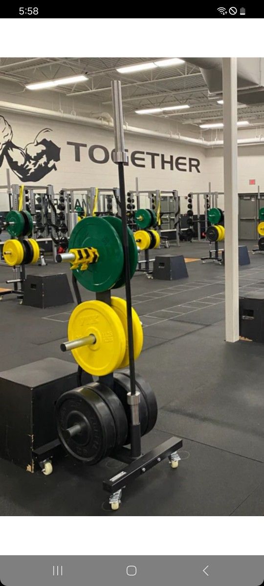 Double Olympic bar and Olympic weight or bumper plate tree weight storage rack with wheels.