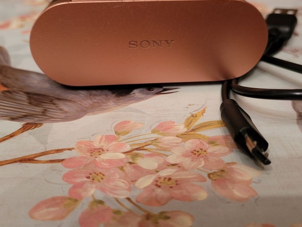 Sony Wireless Noise Canceling Headphones