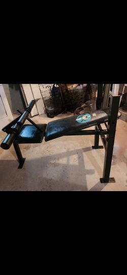 Weight bench w/weights