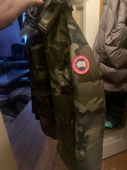 Canada goose