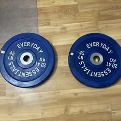 45 Pound Bumper Plates 