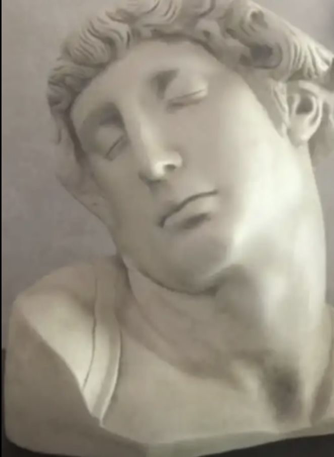 David