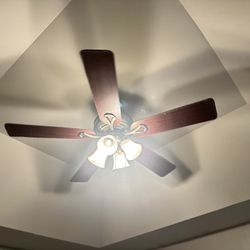 Fan and Light 