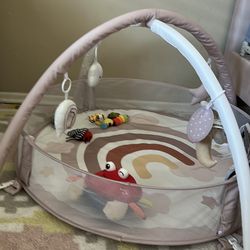Play mat and play gym