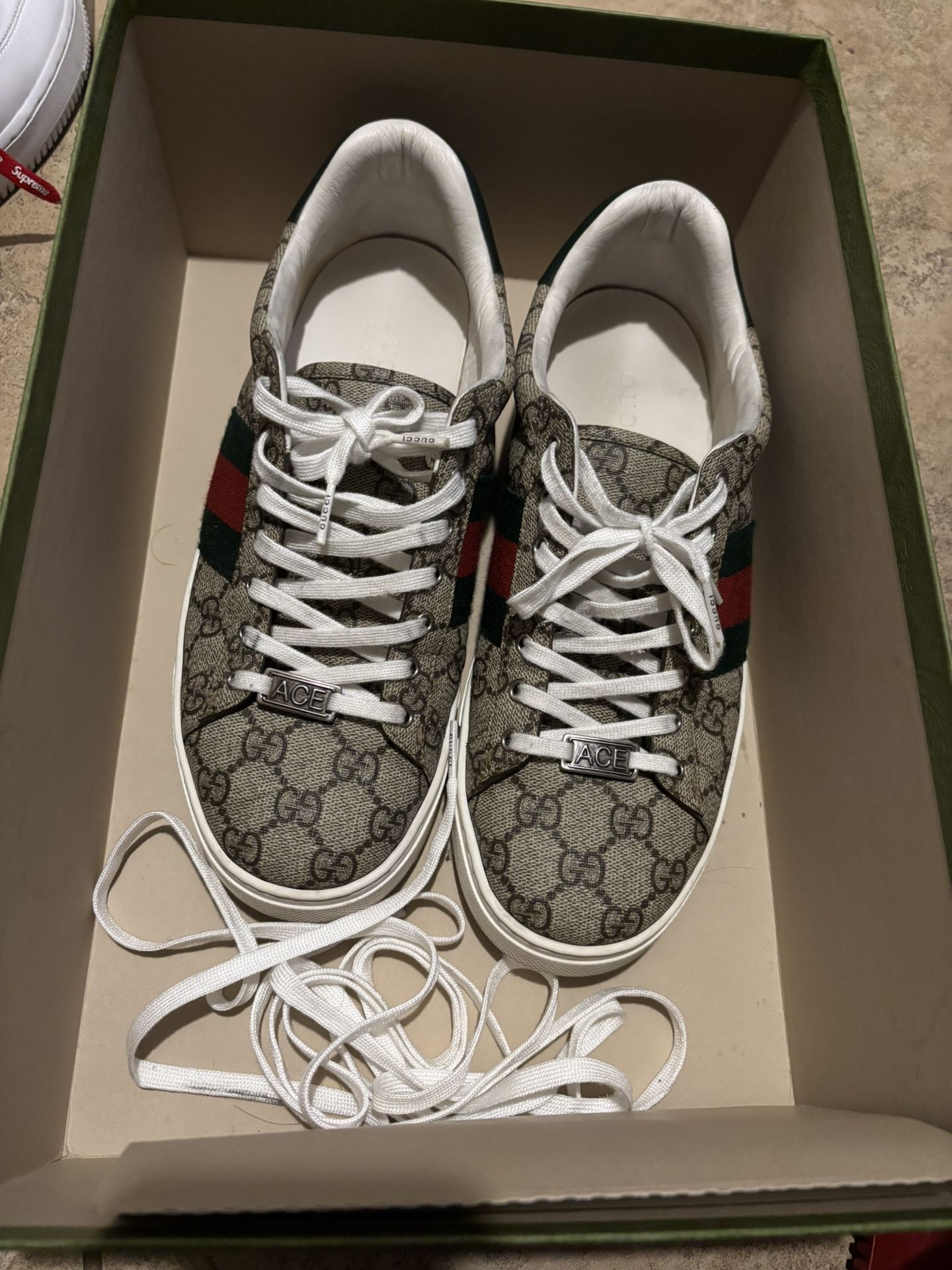 Gucci Ace