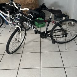 Avalon Bicycle
