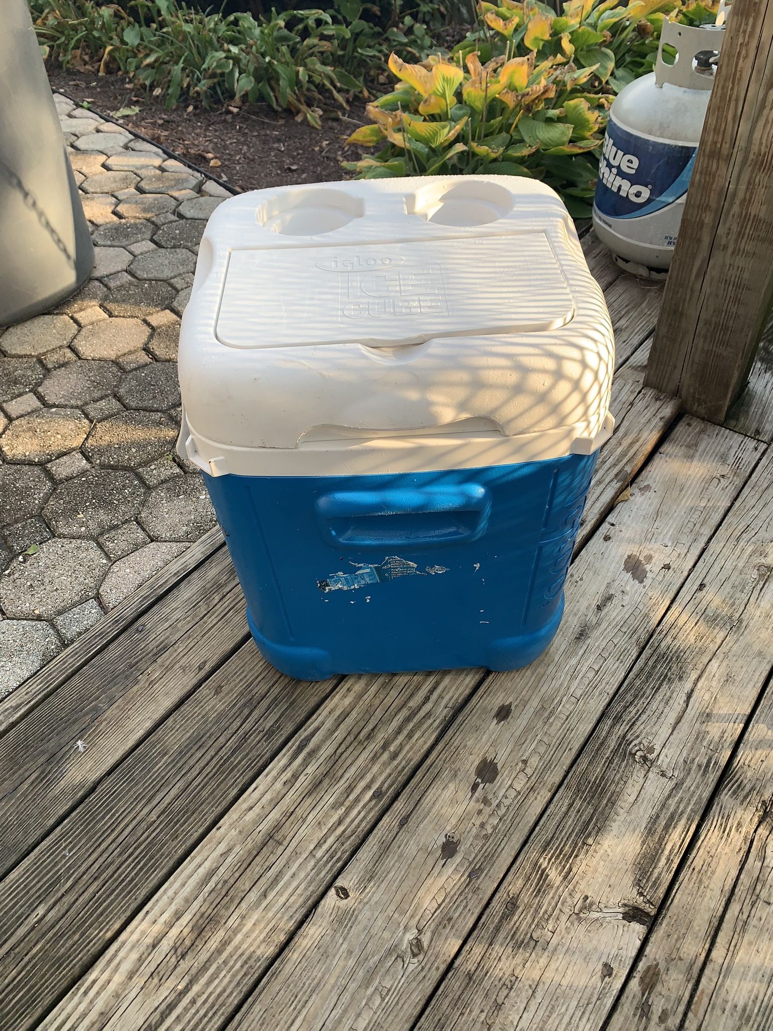 Igloo Cube Cooler.