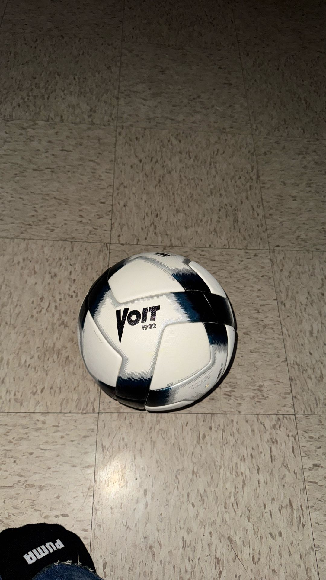 Voit 100