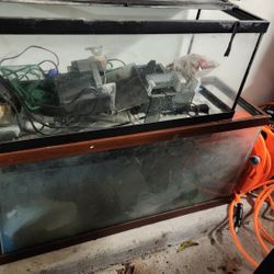 Fish Tanks