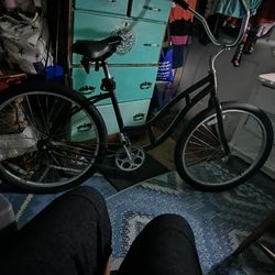  Vintage Schwin Cruiser