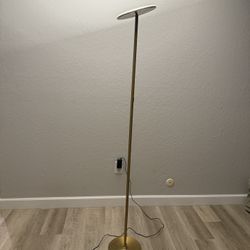 Brightech Sky LED Floor lamp