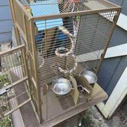Bird Cage