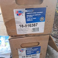 Brand New Front Strut Assembly For 07 To 10 Ford Edge And Linclon Mkx