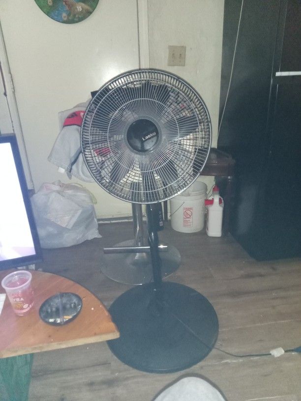 Good Fan