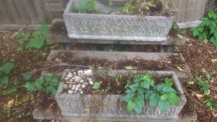 2 Concrete Flower & Herb Container boxes (36 in. ×12 in) ($50 each. Both for 95)