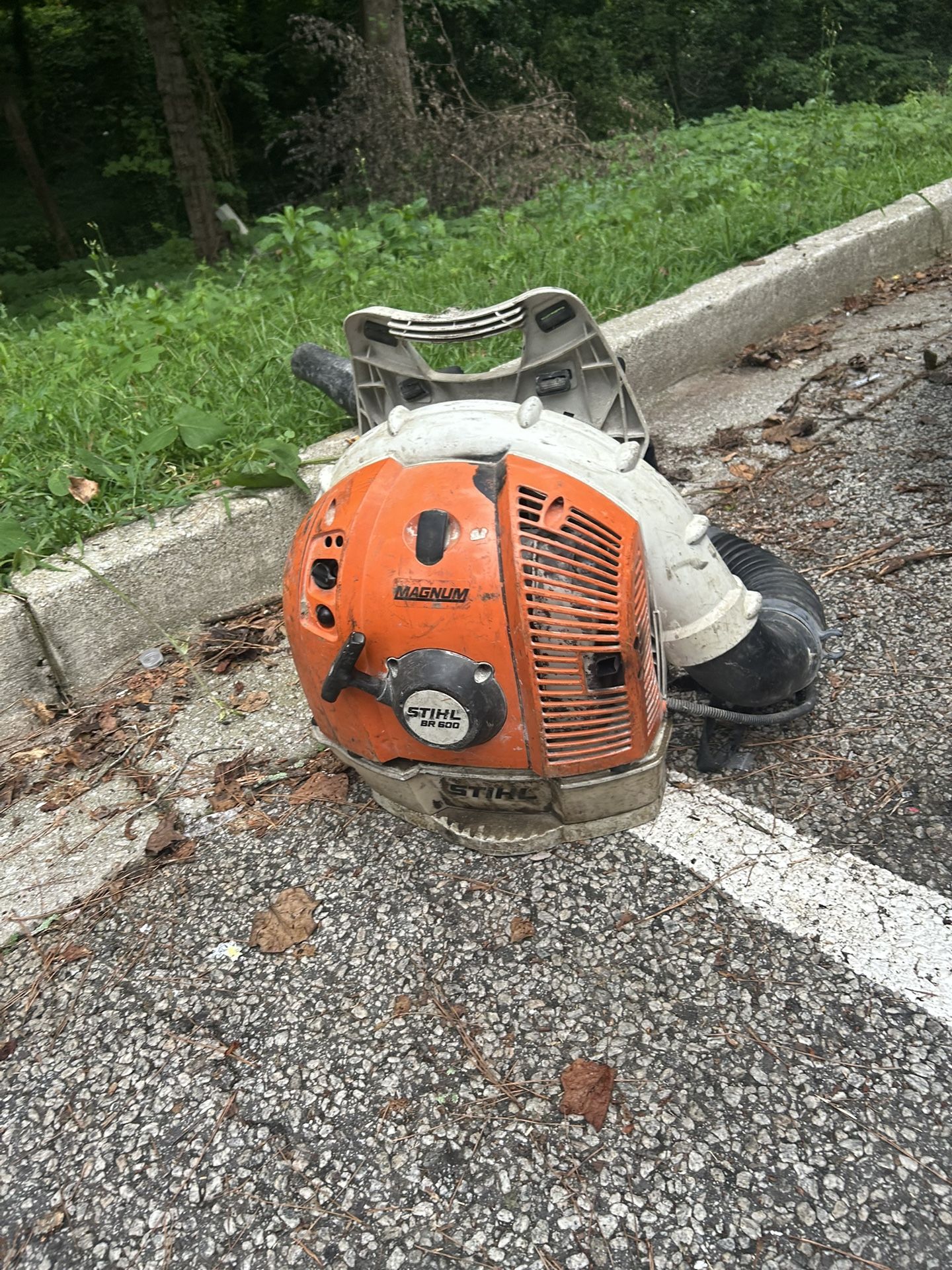 STIHL Br600