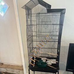 Bird Cage 