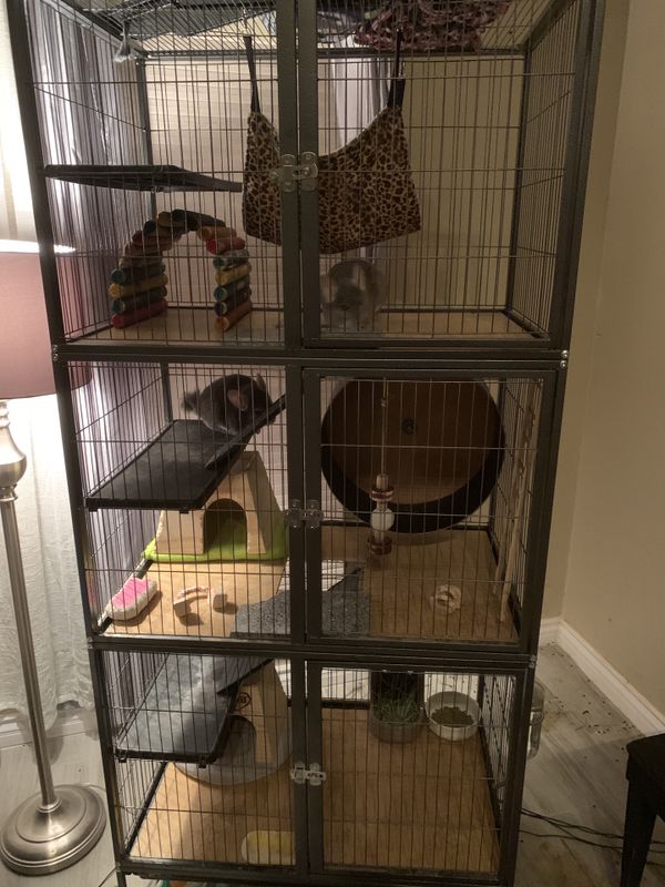 Ferret/Chinchilla 3 story cage for Sale in Las Vegas, NV OfferUp