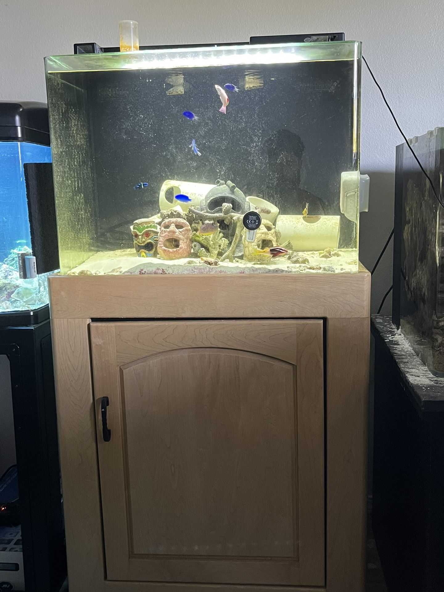 JBJ 45 Gallon Rimless Glass Aquarium
