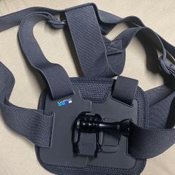 GoPro Chesty