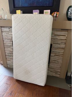 Newton Original Crib Mattress with Cover