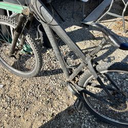 Specialized P2 
