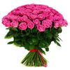 Check My Offers 🌷🌷🌷