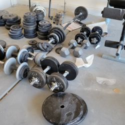 Gym Weight & Equipment 